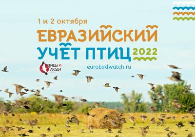 Рязанцев приглашают поучаствовать в Евразийском учёте птиц